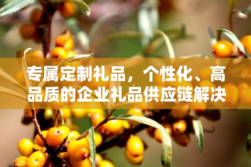 专属定制礼品，个性化、高品质的企业礼品供应链解决方案