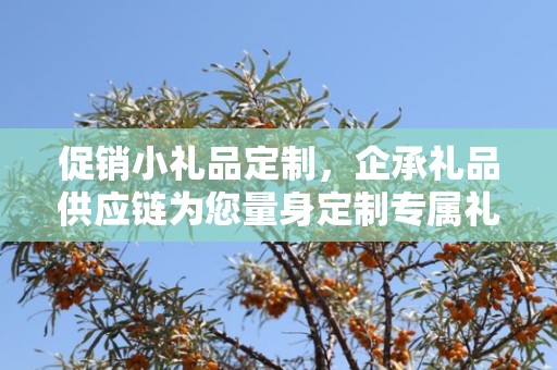 促销小礼品定制，企承礼品供应链为您量身定制专属礼品